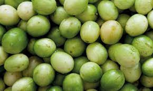 2 Sementes De Umbu Verdadeiro P/ Estaquia Produz C/ 1 Ano