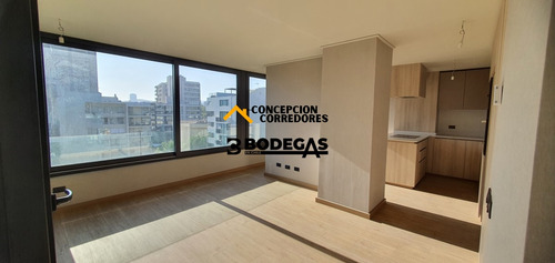 Departamento Duplex 2d+3b Providencia - Metro Fco Bilbao