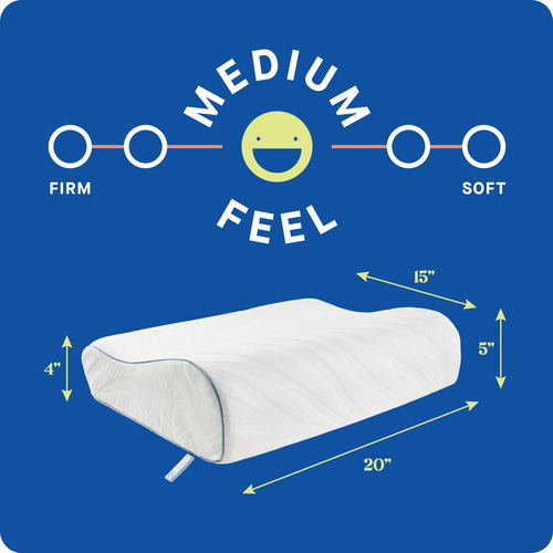 Sealy Dreamlife Tamaño Estándar Contorno De Espuma Memory Fo