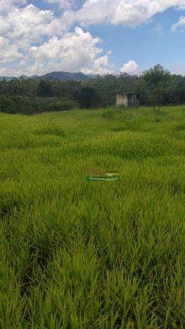 Imagem 7 de 11 de Terreno À Venda, 24500 M² Por R$ 300.000 - Centro - Biritiba-mirim/sp - Te3426