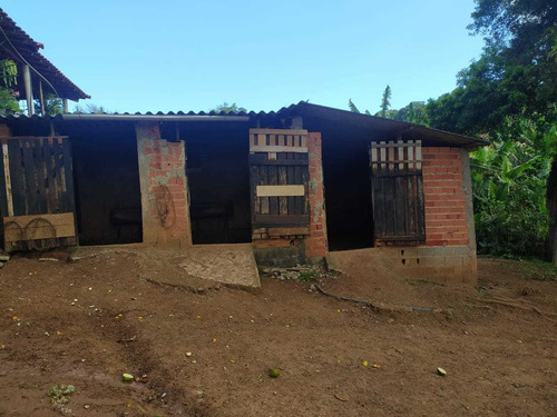 Imagem 11 de 15 de Chácara Para Venda Em Ibiúna, Centro, 3 Dormitórios, 1 Suíte, 2 Banheiros - 033_1-1878219
