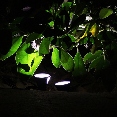 Paquete De 10 Luces De Estaca Solar Para Exteriores, Decorac