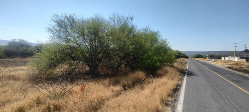 Terreno En Venta San Juan Del Llanito