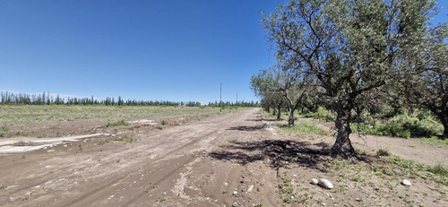 Loteo Tirasso Norte Semi Privado San Rafael, Mendoza