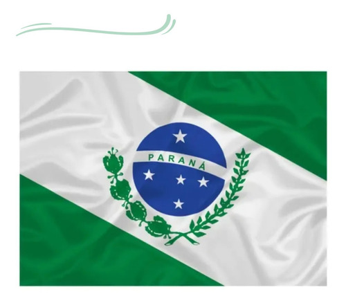 Bandeira Estado Do Paraná 1,50m X 0,9 M Imediato