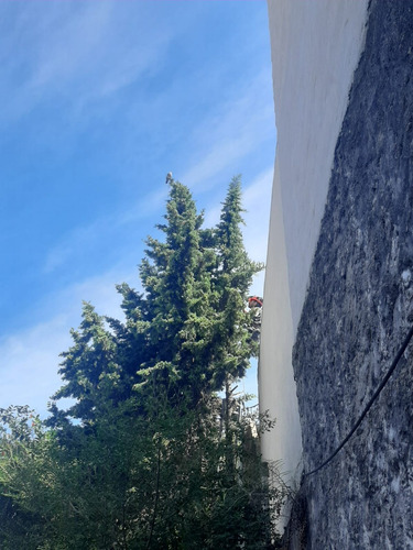Podas De Altura Y Extracciones De Arboles Y Arbustivos