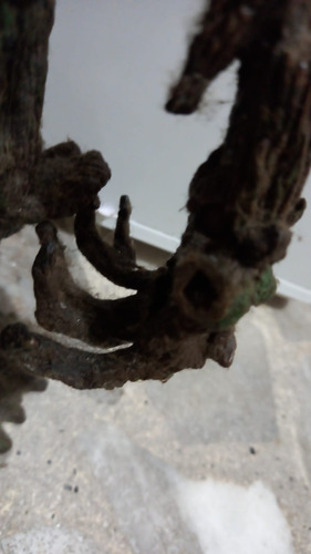 Treebeard Barbárvore Toybiz Senhor Dos Anéis Eletrônico 40cm