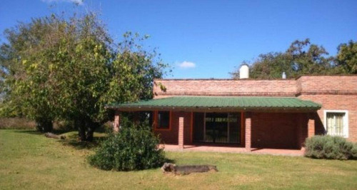 Hermoso Campito Arbolado Con Casa Sin Siembra!