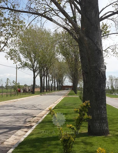 Imagen 8 de 30 de Terreno Lote En Venta Ubicado En La Alameda, Canning, Ezeiza