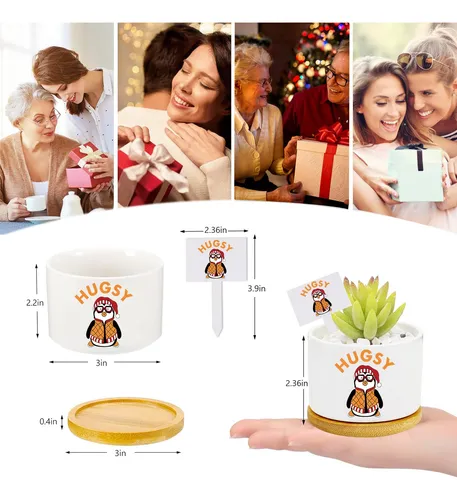 Divertidas Macetas Para Programas De Televisión, Regalos P.
