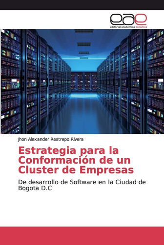 Libro: Estrategia Para La Conformación De Un Cluster De Empr