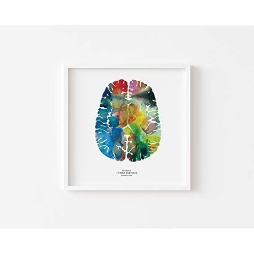 Arte Del Cerebro Humano Axial 12  X 12  Impresión Acua...