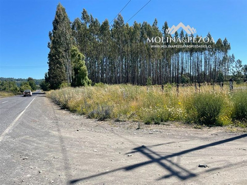 Parcela A Orilla De Carretera En Curacautín 5000 M2