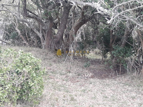 Campo 7 Has En Garzon - Consulte!!!!!!!!- Ref: 2110