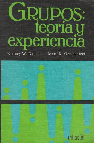 Grupos: Teoria Y Experiencia Rodney W Napier 