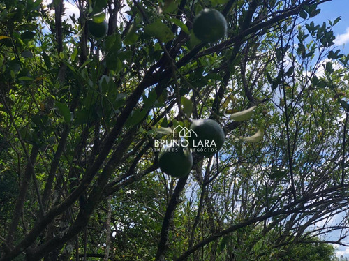 Imagem 12 de 30 de Sítio À Venda Em Igarapé Bairro Ouro Verde. - Si0087