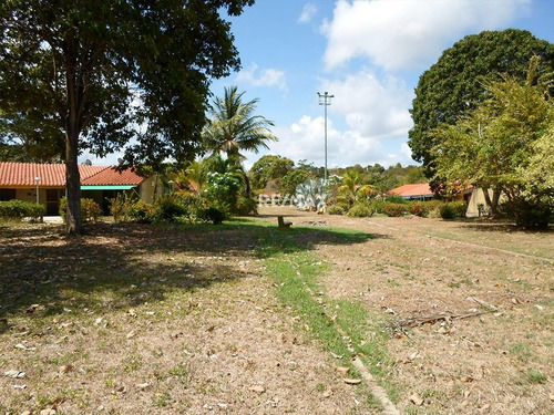 Imagen 16 de 16 de Apartamento En Higuerote Super Precio