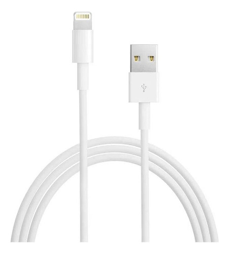  Cable Apple Datos Blanco 2m