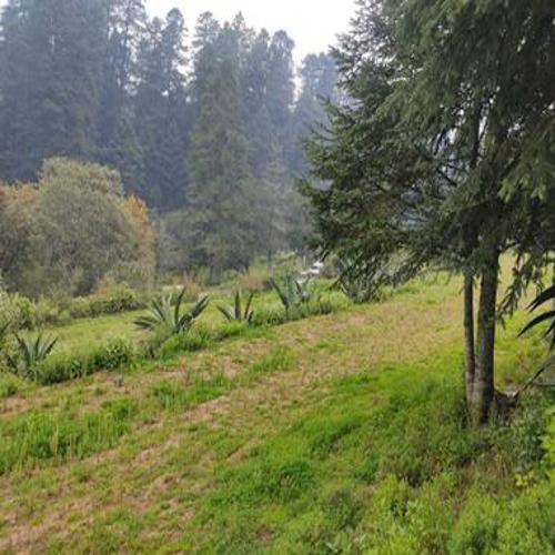 Excelente Terreno En Sta. Rosalia , Mineral Del Monte