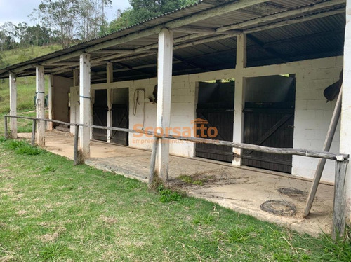 Imagem 16 de 22 de Chácara À Venda, Mendes, São Lourenço Da Serra/sp - 5864