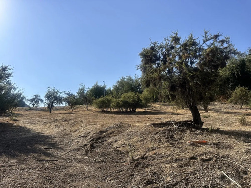 Valle Escondido / Sitio Casi Plano