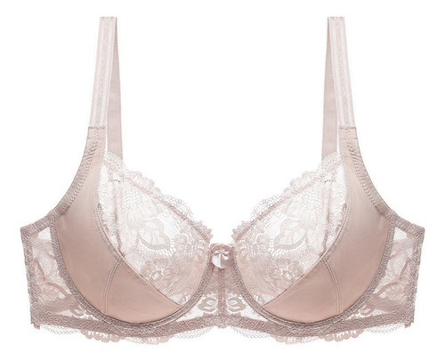 2 Brasier Copa Completa Con Aros Talla Grande Encaje