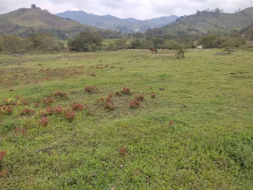 Lotes En Concepcion Planos Con Acceso Al Rio
