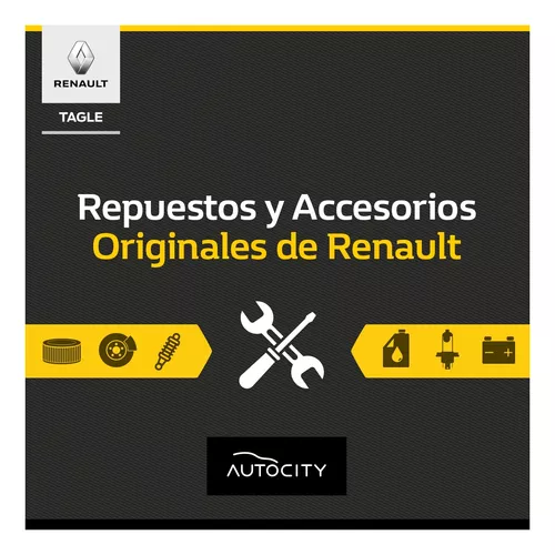 Escobilla Trasera Renault 287900968r I