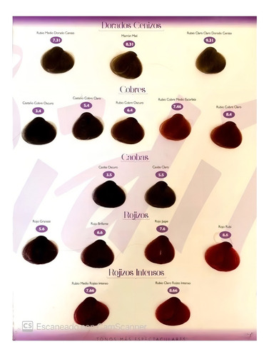 Tinte Bidiip 90 Grs + Activador Tono 9.31