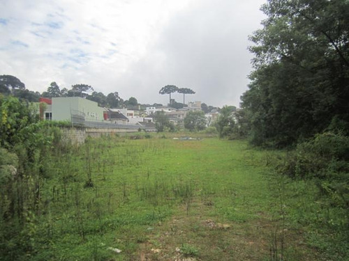 Imagem 1 de 19 de Área À Venda, 5053 M² Por R$ 1.350.000,00 - Tingui - Curitiba/pr - Ar0001