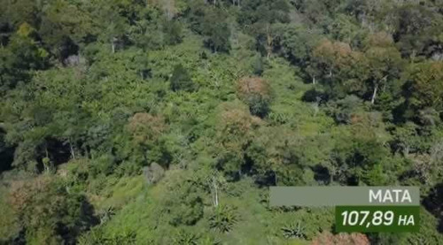 Imagem 9 de 30 de Fazenda De Cacau, Látex E Mogno No Brasil - Cidade Ituberá-ba - 7654