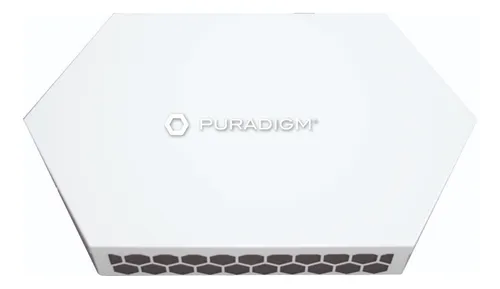 Puradigm flow online