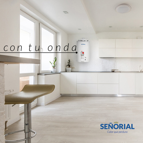 Termotanque multigas Señorial Zafiro TSZ-85 blanco 85L