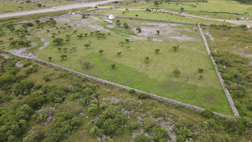 Imagen 2 de 14 de Venta 1hectareas 5907,75m2 Barcena Sobre Ruta