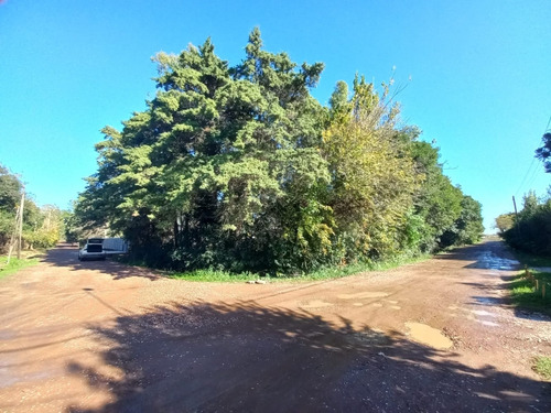 Imagen 1 de 10 de Lote En Zona Plumas Verdes, Luján