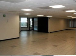 Imagen 12 de 19 de Renta De Oficinas Comerciales Torre Diamante (m2o1340)