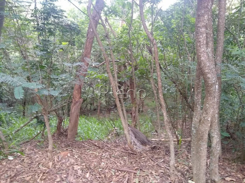 Imagem 7 de 15 de Terreno À Venda Em Joaquim Egídio - Te028079