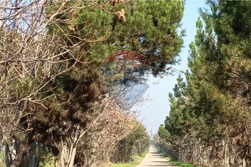 Parcela A 30 Minutos De Santiago: Tu Hogar Ideal