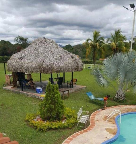 Imagen 3 de 14 de Venta Finca Hacienda Tocuyito Con Pozo Profundo Cod. 135246