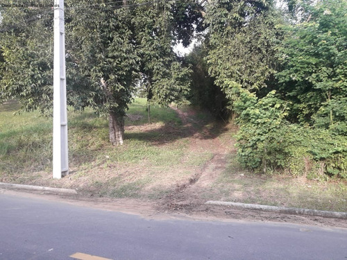 Imagem 6 de 6 de Terreno - Te00038 - 68741659