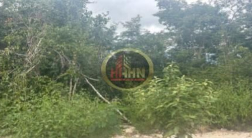 Campeche Calakmul Terreno Rustico En Venta