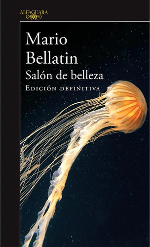 Salon De Belleza - Bellatin Mario