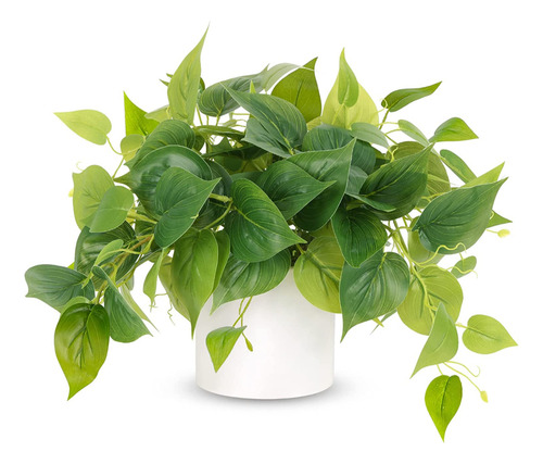 Planta Artificial De Hoja De Ruscus Con Base