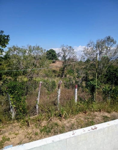 Imagen 9 de 16 de Vendo Finca Araguaney Yaracuy Dt