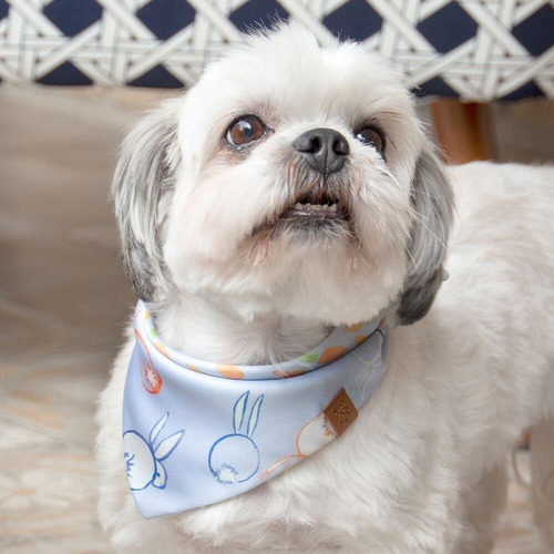 Bandana Pet Jr Dupla Face Para Cachorros E Gatos Allyson Cor Azul Allyson M