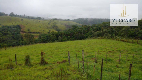 Chácara Rural À Venda, Jardim São Domingos, Arujá - Ch0067