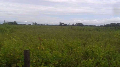 Imagen 11 de 11 de Finca De 600 Hectáreas En Arismendi