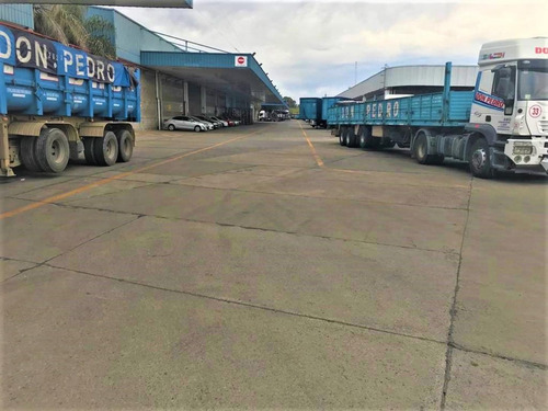 Imagen 13 de 24 de Nave Industriales Disponible De 3.445m2 Sin Expensas