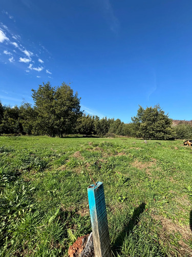 Venta Hermosos Sitios A 10 Min De Concepción
