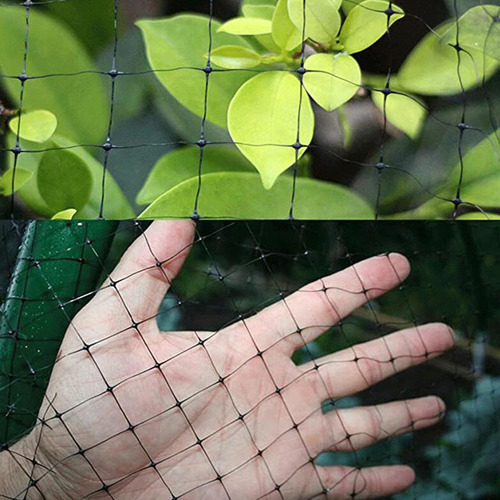 Red De Pájaros Verdes Para Proteger Las Plantas Árboles Frut